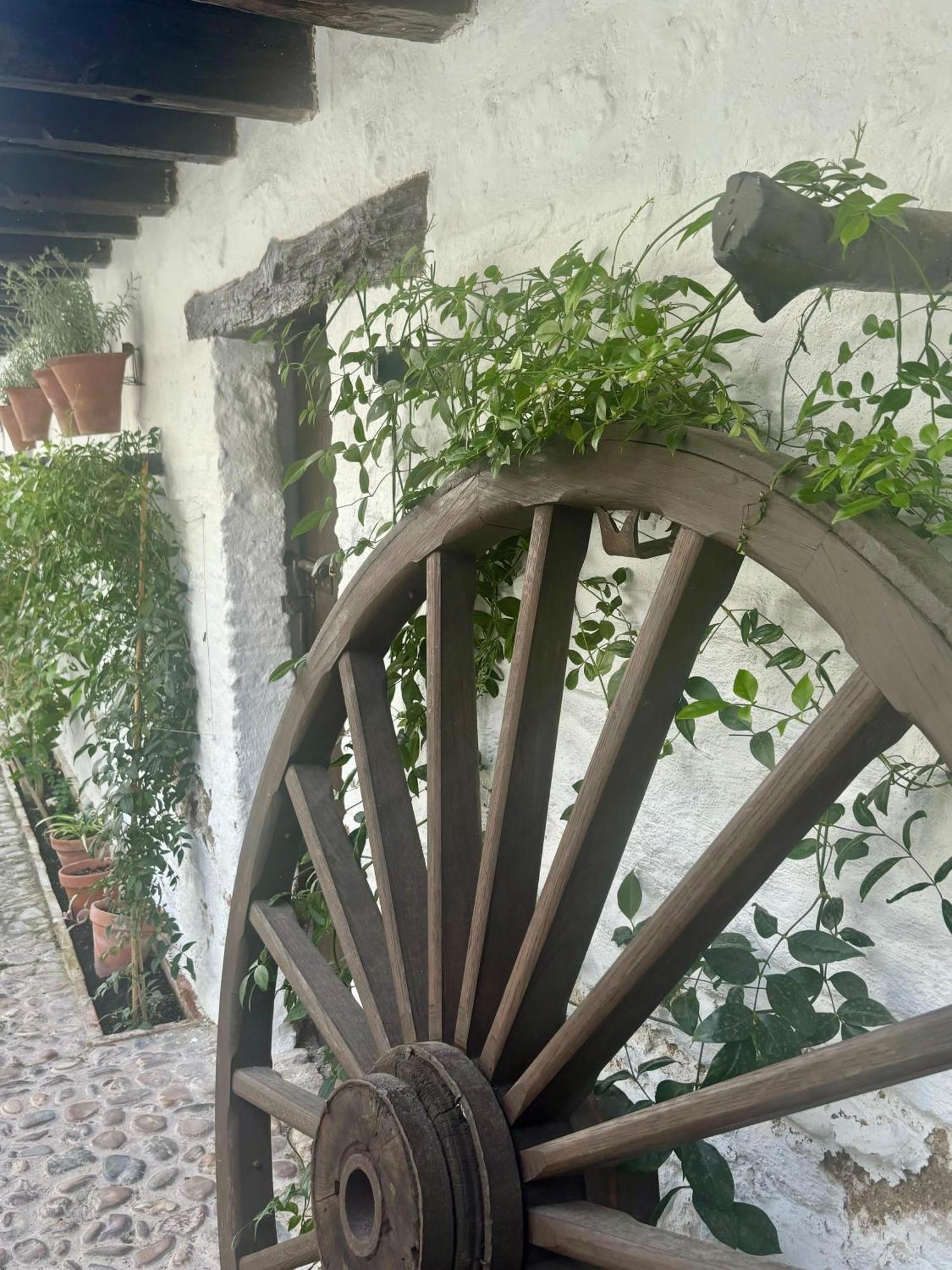 La Buganvilla De Santiago Kordoba Zewnętrze zdjęcie