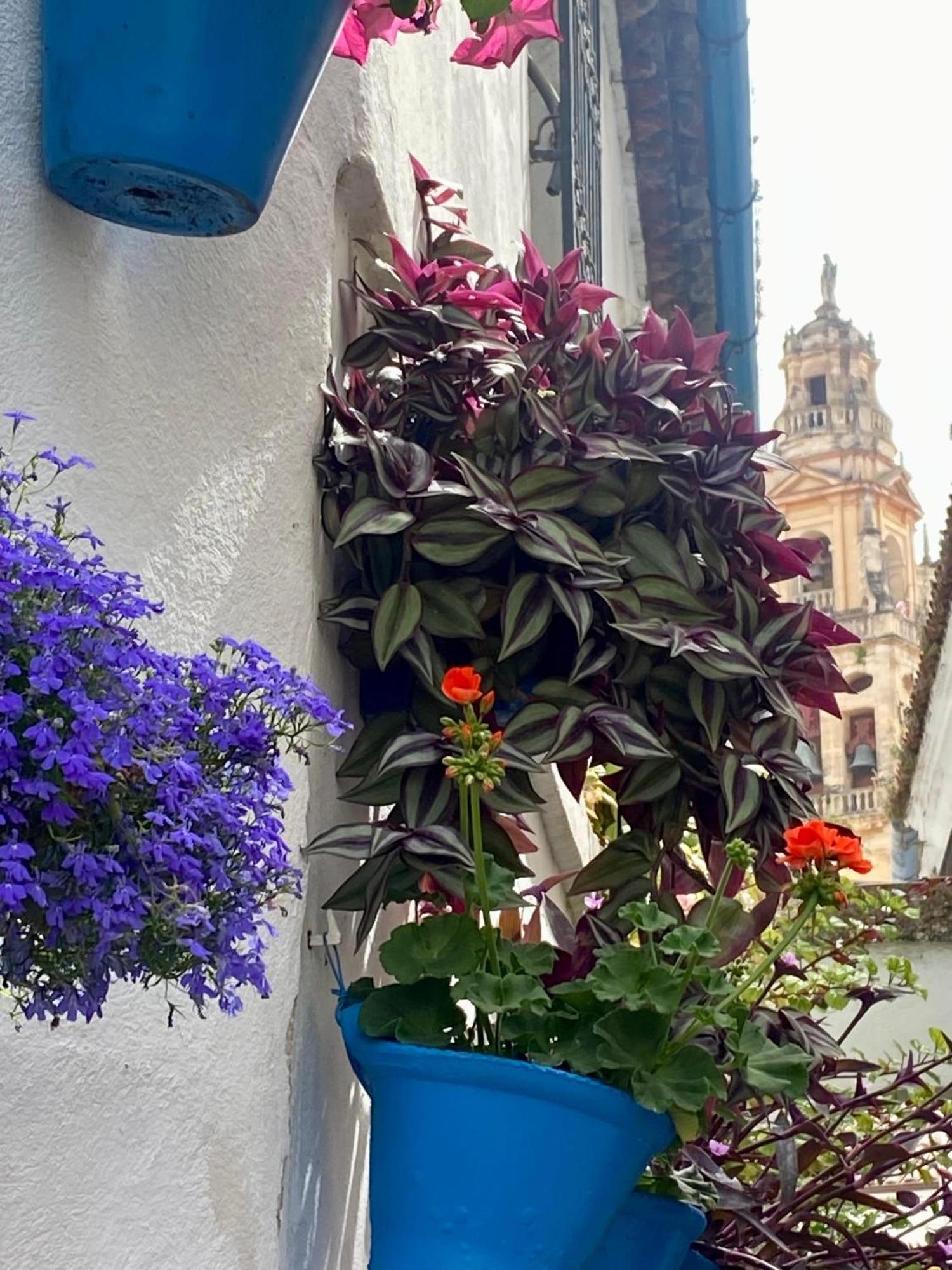 La Buganvilla De Santiago Kordoba Zewnętrze zdjęcie