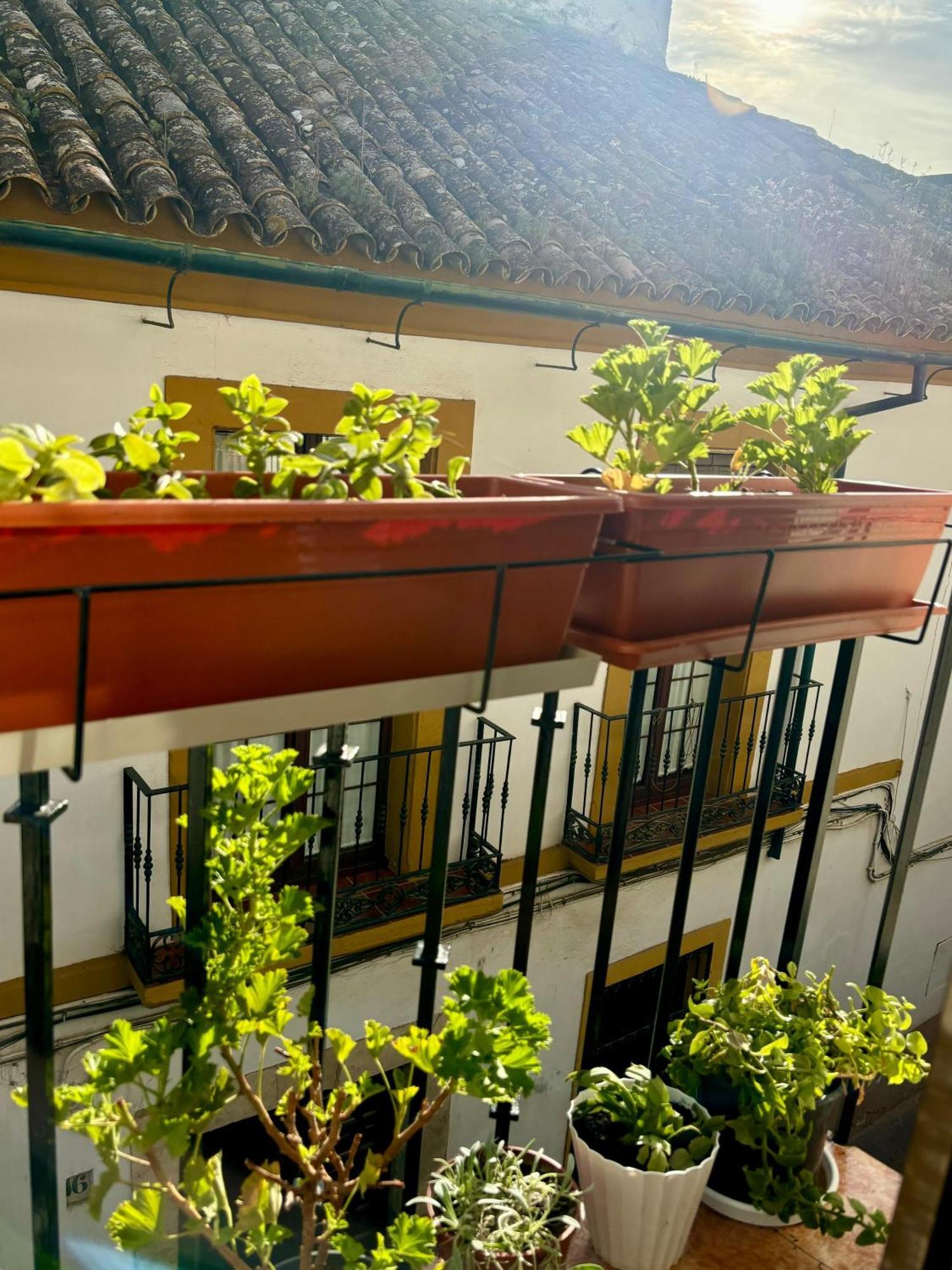 La Buganvilla De Santiago Kordoba Zewnętrze zdjęcie